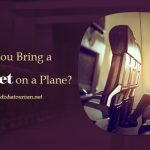 Can You Bring a Blanket on a Plane?