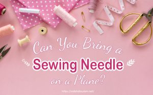 Can You Bring a Sewing Needle on a Plane Let's Unravel the Truth! [Update 2023]